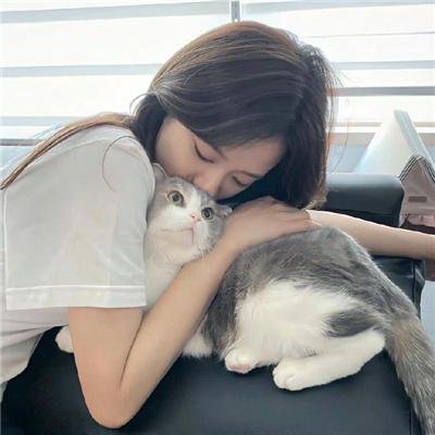 傲娇与偏见