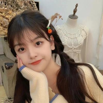 高斯电子公司